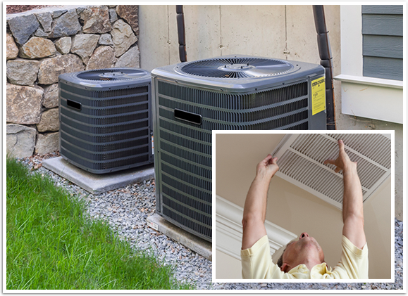 Professional Service